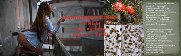 молекула духа Липки