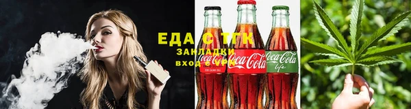 тгк Ельня