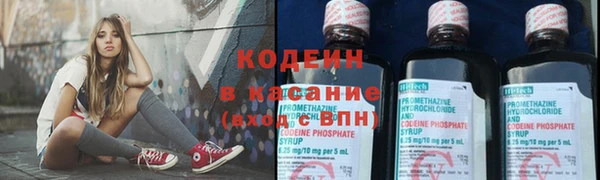 стаф Елабуга