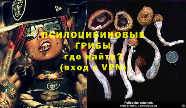 синтетический гашиш Елизово