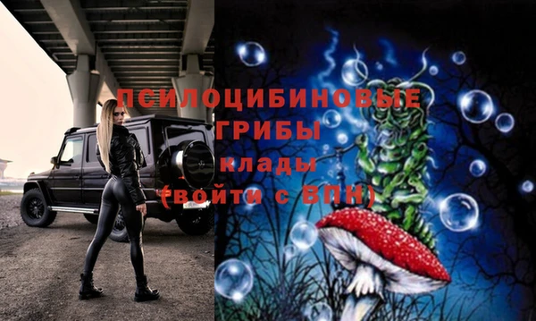 стаф Елабуга