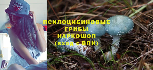 молекула духа Липки