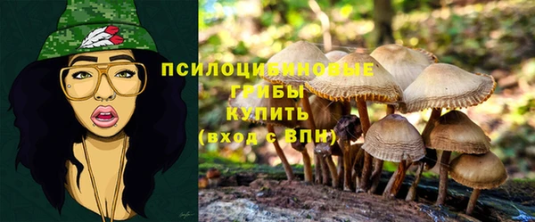 тгк Ельня