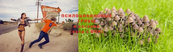 стаф Елабуга
