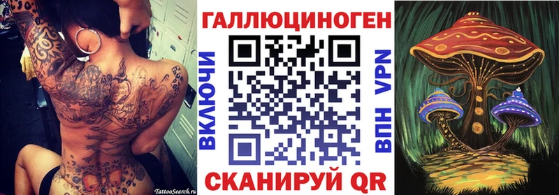 купить   МЕГА ТОР  Псилоцибиновые грибы мицелий  Пойковский 